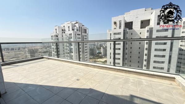 פרופ' אפרים קציר, רחובות המדע