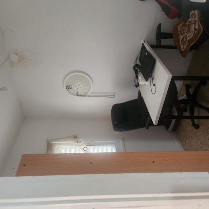 פרחים 4, הערבה