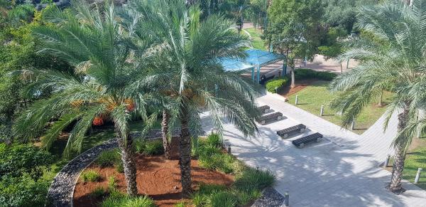 אלי כהן, רמת אביב החדשה