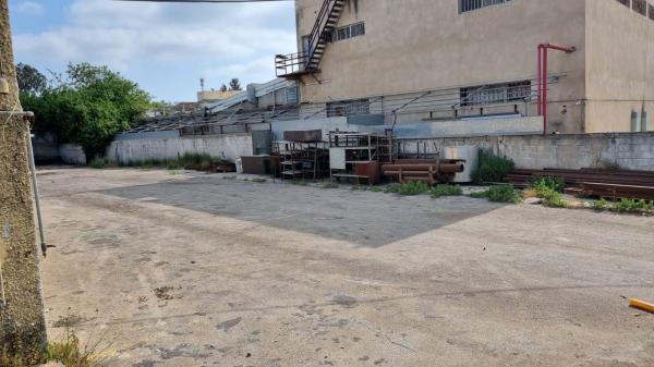 בעלי המלאכה 8