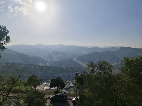 הקרן 31 (כלי שיר)