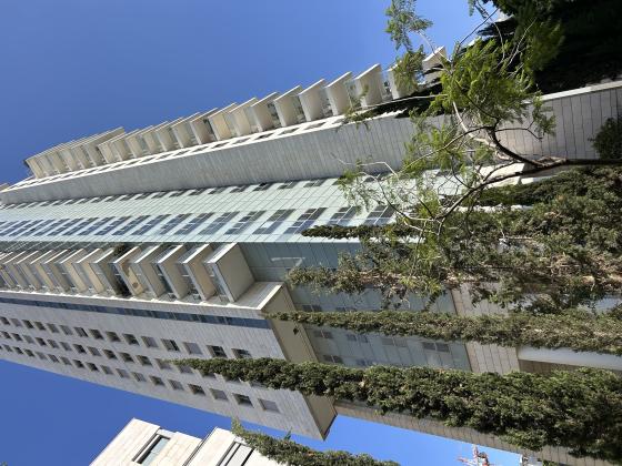 נהר דעא, הצפון החדש החלק הדרומי