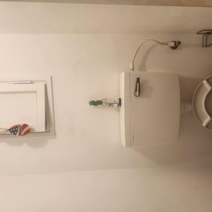 פרחים 4, הערבה