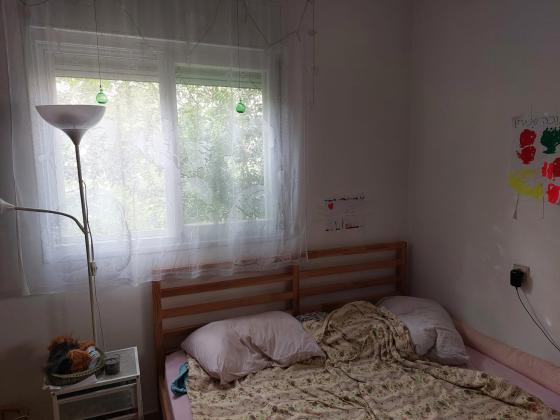 שאול 31, נוה שאנן