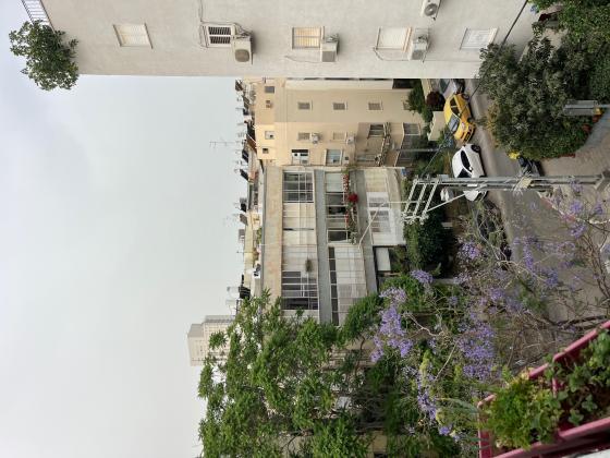 פרץ חיות 2, לב תל אביב