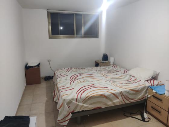 אנפה 68, הציפורים