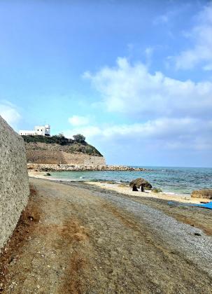 חגוי הסלע 4, עין הים