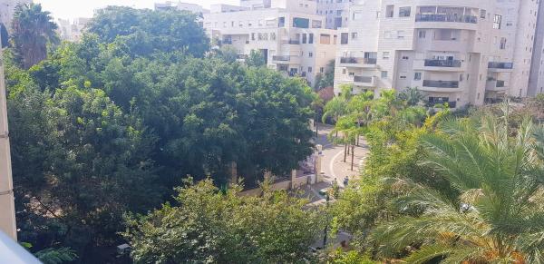 אלי כהן, רמת אביב החדשה