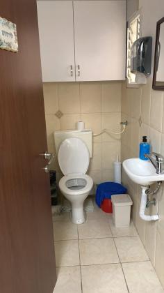 שבתאי לוי, הדר הכרמל