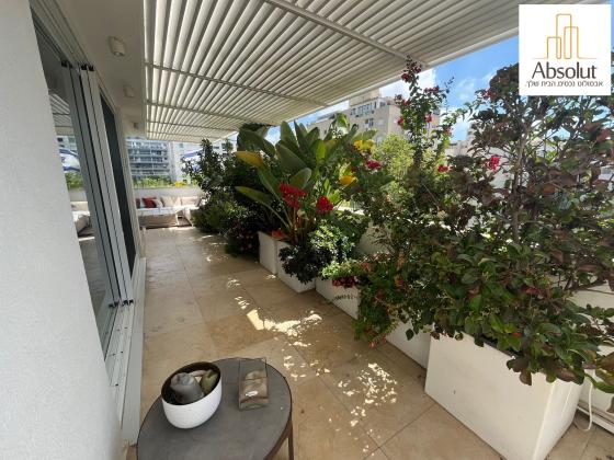 בורלא, תוכנית ל