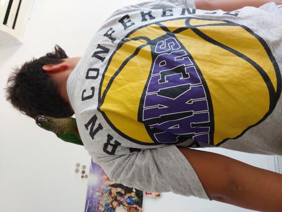 גרינצ'יק ירוק האכלת יד כולל