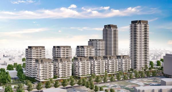 קהילת קנדה 20, יפו ד