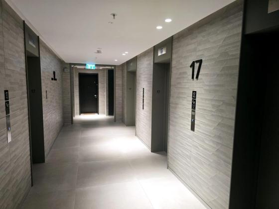 לאונרדו דה וינציי 14, שרונה