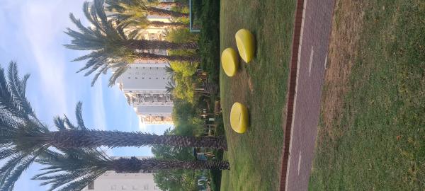 ריב"ל 6, נאות שקמה