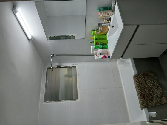 שדרות הצבי, כרמל ותיק