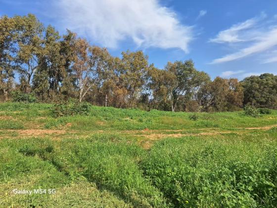 בית הלל 21, מורשה