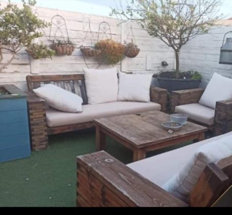 הגומא 8 (צמח השדה)