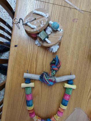 כלוב גדול יצור עצמי