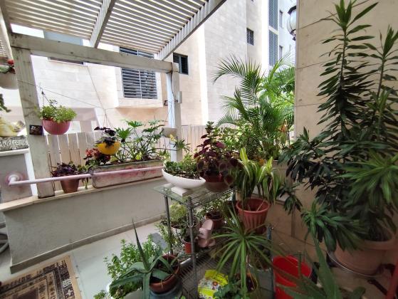 ריינס 15, מרכז העיר צפון