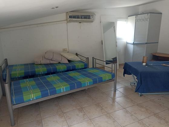 חלוצת הפרדסנות 3, קרול