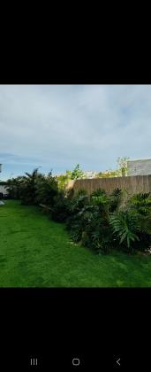 האתרוג 28, הדרים