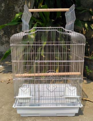 כלוב חדש האכלת יד200 בלי