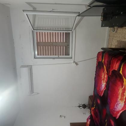 פרחים 4, הערבה