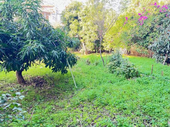 בשכונת פרדס רייספלד