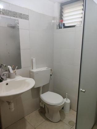 אנפה 68, הציפורים