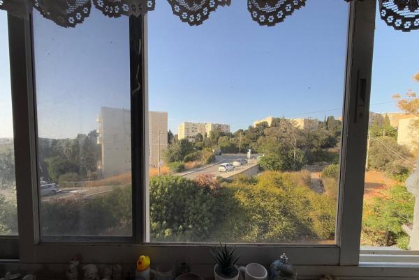 אדמונד פלג 32, רמת שאול