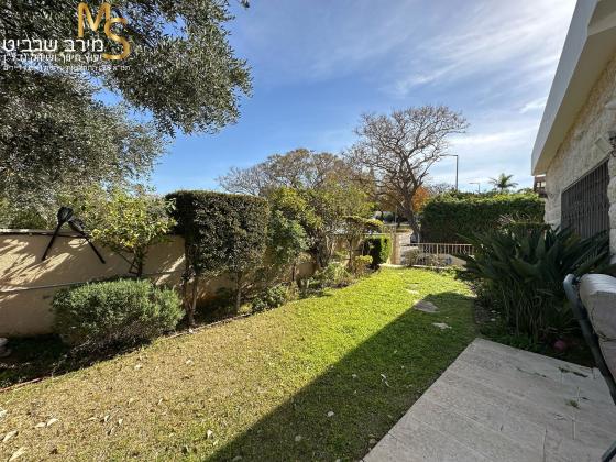 לבון פנחס, דניה