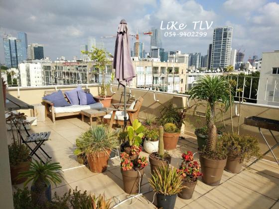 פרישמן, הצפון הישן החלק הדרום מזרחי