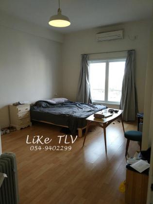 פרישמן, הצפון הישן החלק הדרום מזרחי