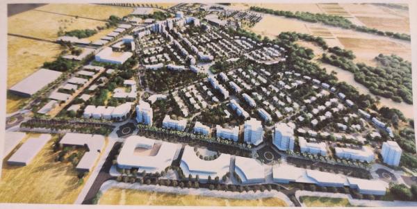 בשכונת חורשת נוח