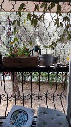 הגפן 49, עבאס