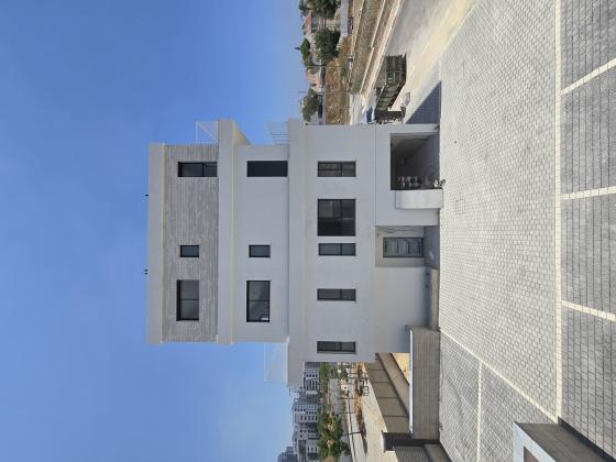 חגוי הסלע, אור ים