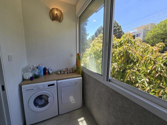 אלברט אינשטיין 49, גבעת דאונס