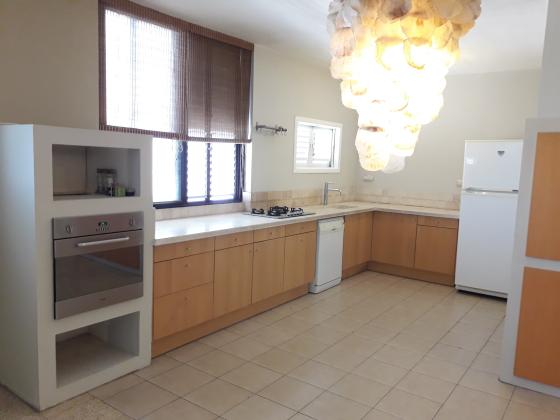 יגאל אלון 17, הירוקה המרכזית