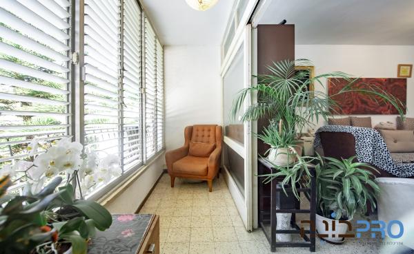 וקסלר 4, רמב"ם