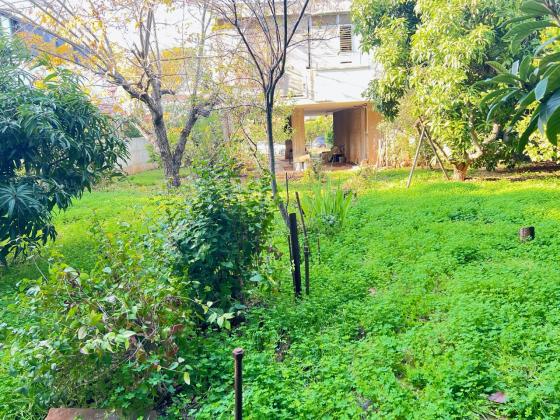 בשכונת פרדס רייספלד