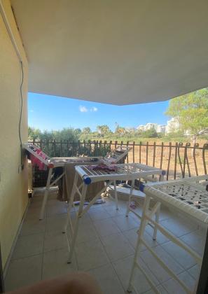 התמרים, מרכז העיר