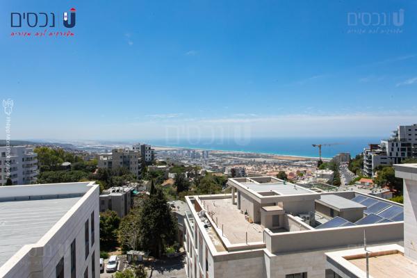 סמולנסקין, אחוזה