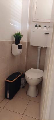 דוד חיון 4, מרכז העיר