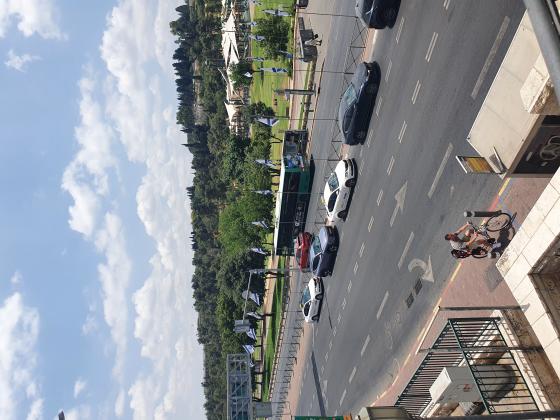 עלמא 12, נחלאות