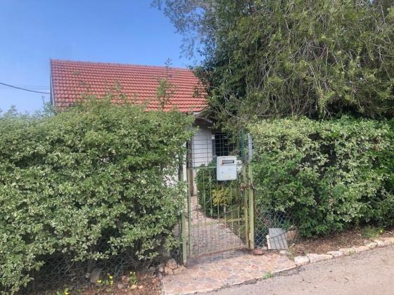 בשכונת הפרחים