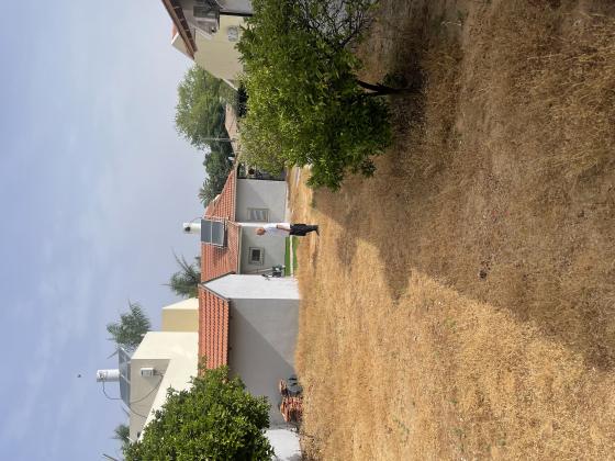 רמז 12, נוה עמל