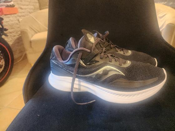 אלגנט 44ספורט 45