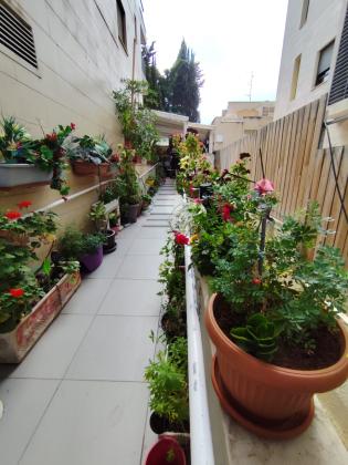 ריינס 15, מרכז העיר צפון