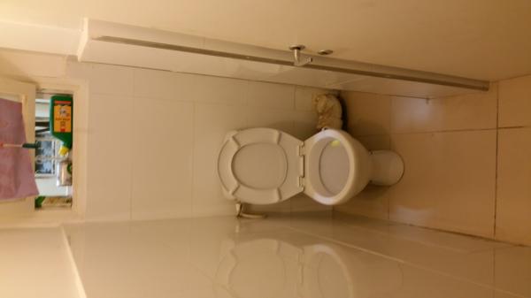 חביבה רייק 10, שכונה ג