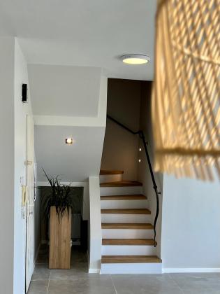 ויצמן 224, לב הפארק